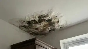 Macchie di umidità e muffa nera su un soffitto vicino a una finestra